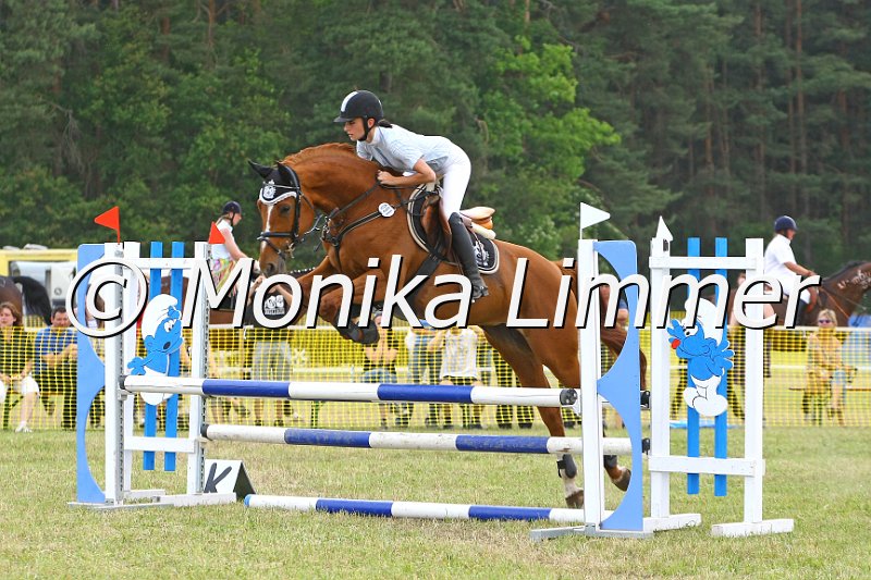 105M9308_e gross.jpg